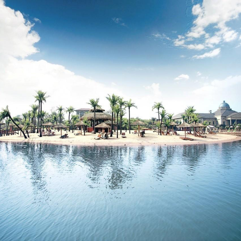 武漢世貿龍灣仿真椰子林